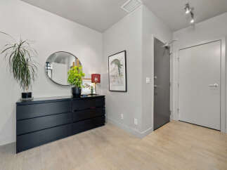 Welcome guests into a stylish entryway featuring a sleek black dresser topped with a large round mirror and vibrant potted plants.