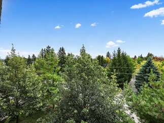 Enjoy the serene natural beauty surrounding this property, with lush green trees and a clear blue sky.