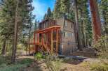 Nestled amongst towering pine trees, this charming cabin offers a serene mountain retreat.