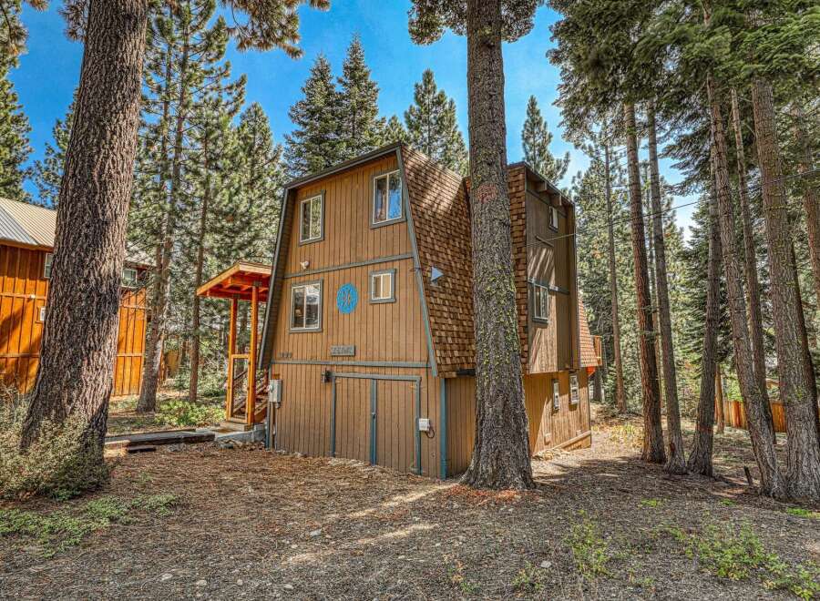 Nestled amongst tall pine trees, this charming A-frame cabin offers a rustic retreat.