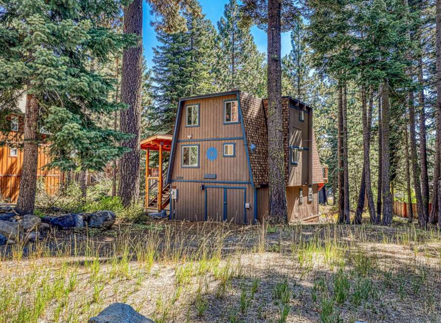 Nestled among tall pine trees, this charming brown cabin offers a rustic retreat.