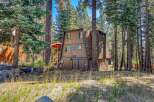 Nestled among tall pine trees, this charming brown cabin offers a rustic retreat.