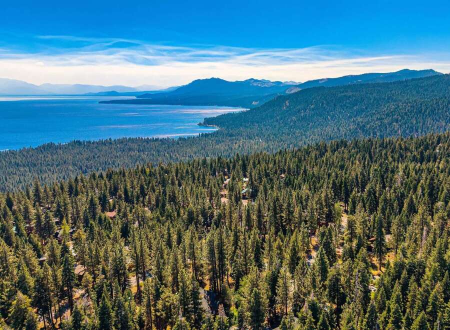 Experience the ultimate mountain retreat with this stunning aerial view of homes nestled within a dense pine forest overlooking a vast, serene lake.