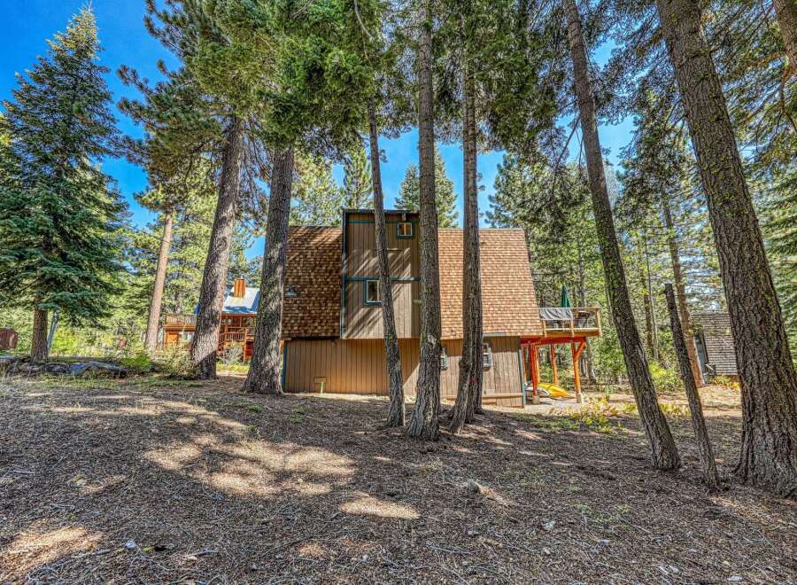 Nestled amongst tall pine trees, this charming cabin offers a serene mountain retreat.