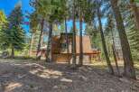 Nestled amongst tall pine trees, this charming cabin offers a serene mountain retreat.