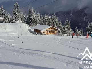 Experience the ultimate ski lifestyle with this charming wooden chalet nestled on a pristine snowy slope.