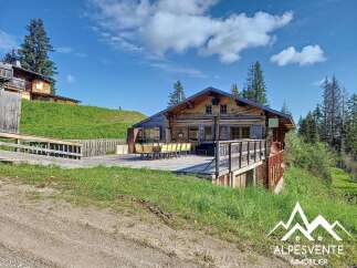 Experience the charm of this rustic wooden chalet nestled in a serene mountain landscape.