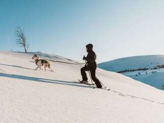 Experience the ultimate winter adventure with your furry companion! This stunning property offers direct access to pristine snow-covered landscapes, perfect for cross-country skiing or snowshoeing.