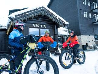 Experience the ultimate winter adventure with a fat biking tour in a snowy landscape, perfect for exploring scenic trails.