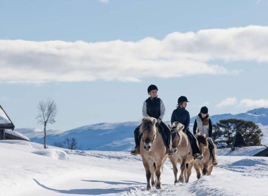 Experience the tranquility of winter with this unique property, offering a serene escape amidst snow-covered landscapes.