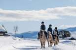 Experience the tranquility of winter with this unique property, offering a serene escape amidst snow-covered landscapes.