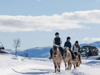 Experience the tranquility of winter with this unique property, offering a serene escape amidst snow-covered landscapes.