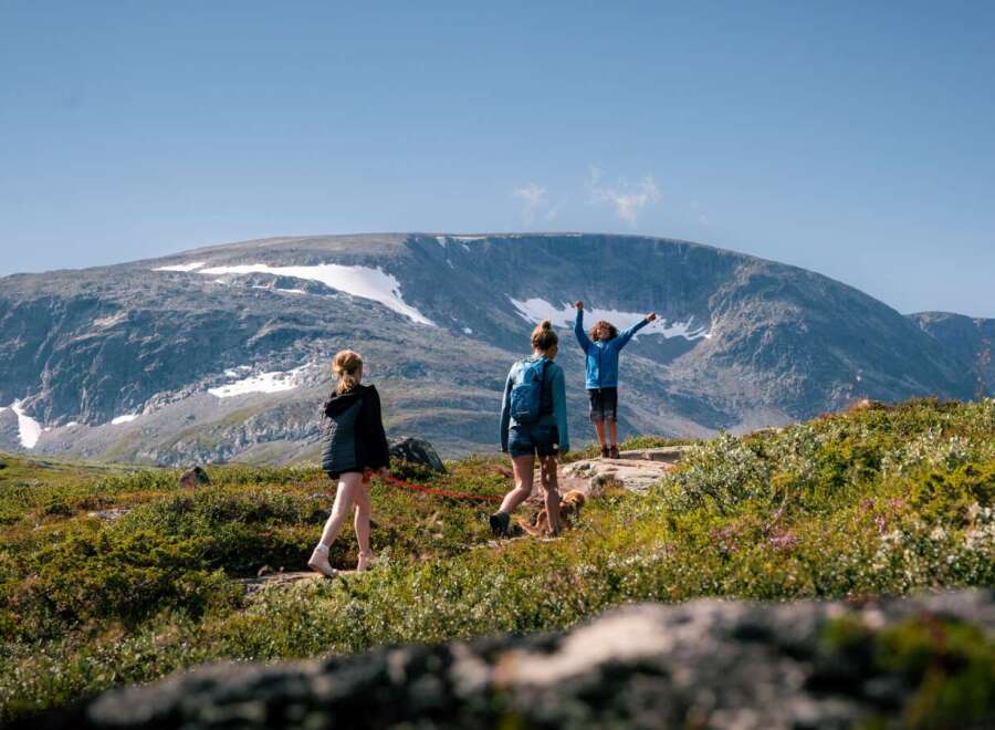Experience the breathtaking beauty of this mountain landscape, perfect for outdoor enthusiasts and nature lovers.