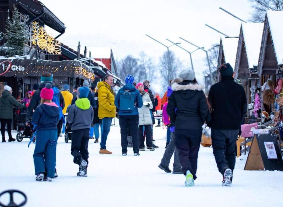 Experience the charm of a winter market with this festive scene.