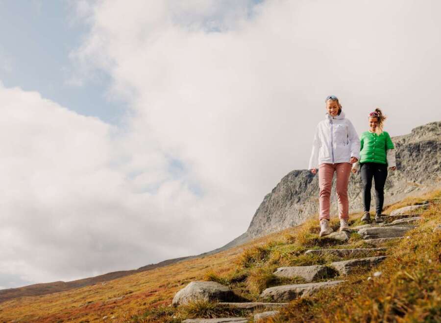 Experience the breathtaking beauty of nature with this stunning mountain landscape.