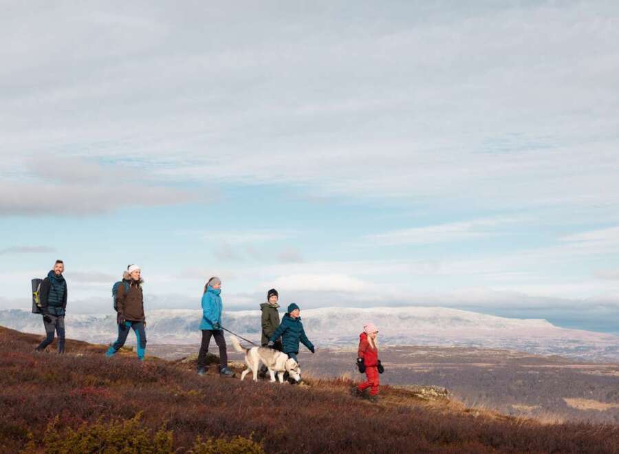 Experience the beauty of nature with this stunning landscape, perfect for outdoor enthusiasts.