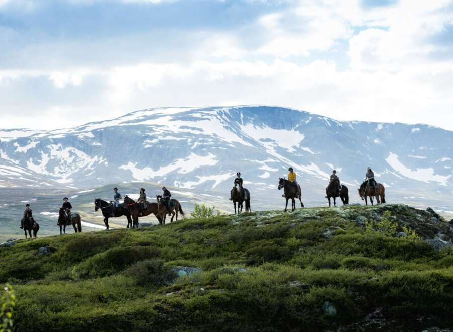 Experience the ultimate equestrian adventure with this stunning property, offering breathtaking views of snow-capped mountains and lush green valleys.