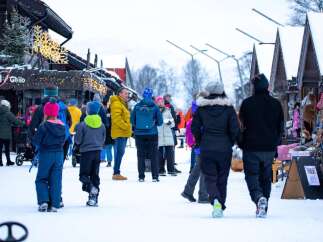 Experience the charm of a winter market with this festive scene.