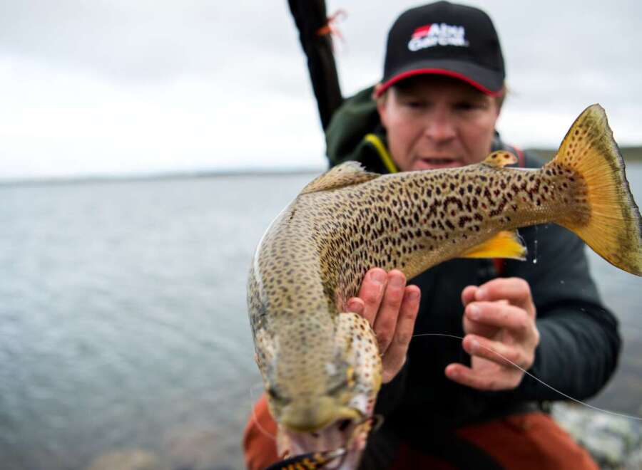 Experience the thrill of the catch with this impressive brown trout, a testament to the abundant fishing opportunities in this serene lakeside location.