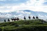 Experience the ultimate equestrian adventure with this stunning property, offering breathtaking views of snow-capped mountains and lush green valleys.