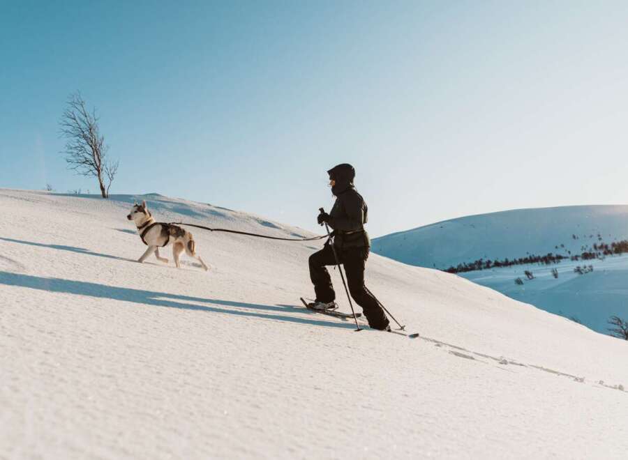Experience the ultimate winter adventure with your furry companion! This stunning property offers direct access to pristine snow-covered landscapes, perfect for cross-country skiing or snowshoeing.