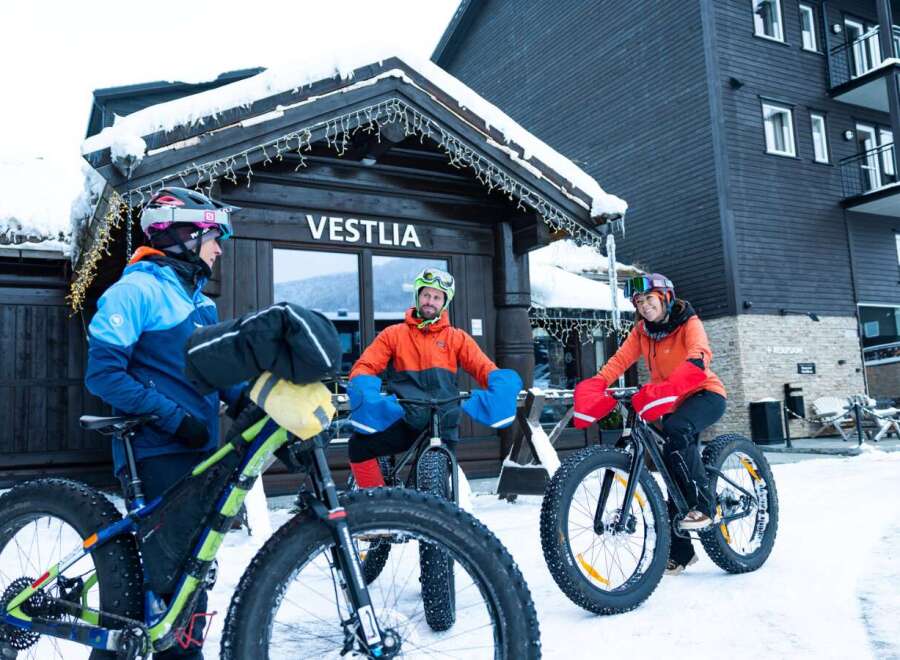 Experience the ultimate winter adventure with a fat biking tour in a snowy landscape, perfect for exploring scenic trails.