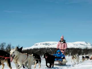 Experience the thrill of a lifetime with an exhilarating dog sledding adventure through a pristine winter wonderland.