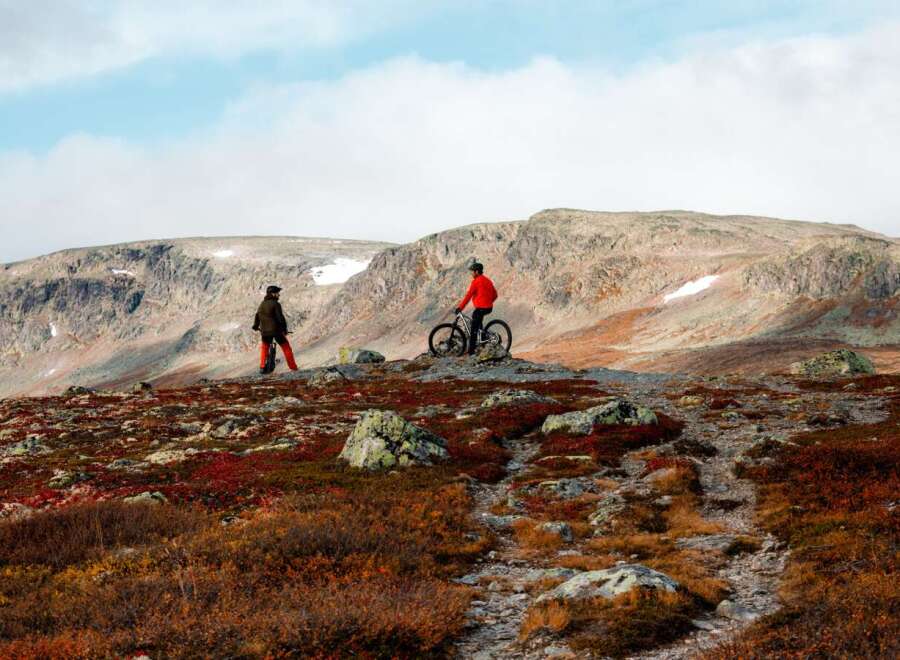 Experience the ultimate outdoor adventure with this stunning mountain property, perfect for nature lovers and thrill-seekers.