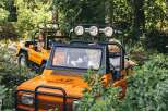 Embark on an adventurous safari in these vibrant orange off-road vehicles, perfect for exploring lush green landscapes.