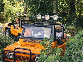 Embark on an adventurous safari in these vibrant orange off-road vehicles, perfect for exploring lush green landscapes.
