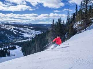 Experience the thrill of skiing down pristine slopes with breathtaking panoramic views of snow-covered mountains and dense evergreen forests.