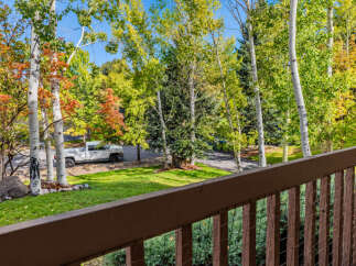 Enjoy the vibrant autumn foliage from this property, with stunning views of colorful trees and lush green lawns.