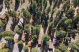 Nestled amidst a serene forest, this property offers a tranquil escape with multiple homes surrounded by mature trees and natural landscaping.