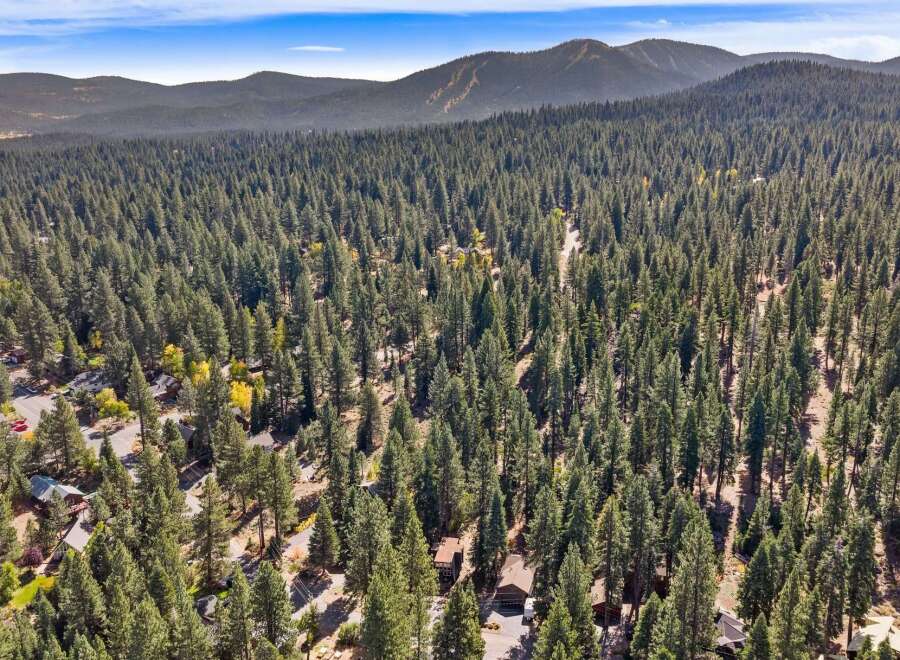 Discover your dream mountain retreat nestled within a dense pine forest.