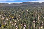 Discover your dream mountain retreat nestled within a dense pine forest.