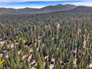 Discover your dream mountain retreat nestled within a dense pine forest.