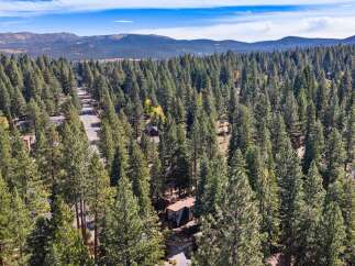 Discover this charming home nestled within a dense forest of mature pine trees, offering unparalleled privacy and a serene natural setting.