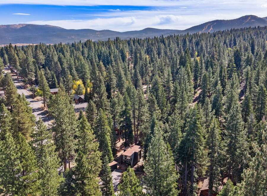 Nestled amidst a dense forest of towering pine trees, this property offers a serene and private retreat.