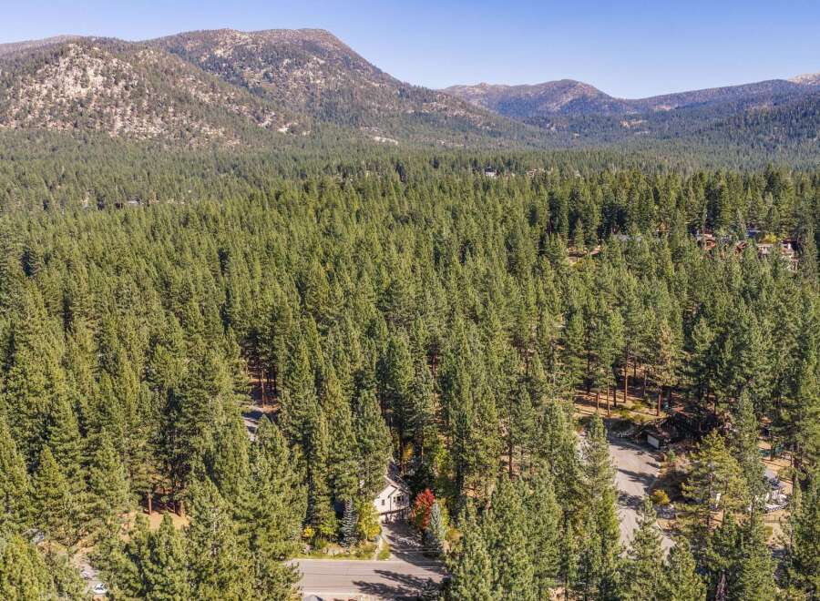 Nestled amidst a dense forest of towering pine trees, this property offers a serene and private retreat.