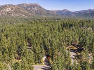 Nestled amidst a dense forest of towering pine trees, this property offers a serene and private retreat.