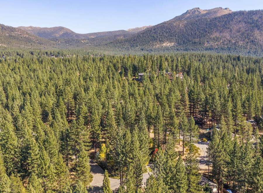 Nestled amidst a dense forest of towering pine trees, this property offers a serene and private retreat.