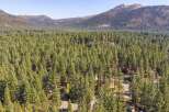 Nestled amidst a dense forest of towering pine trees, this property offers a serene and private retreat.
