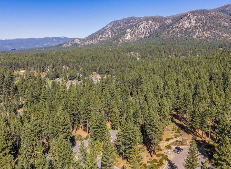 Nestled amidst a dense forest of towering pine trees, this property offers a serene and private retreat.