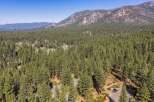 Nestled amidst a dense forest of towering pine trees, this property offers a serene and private retreat.