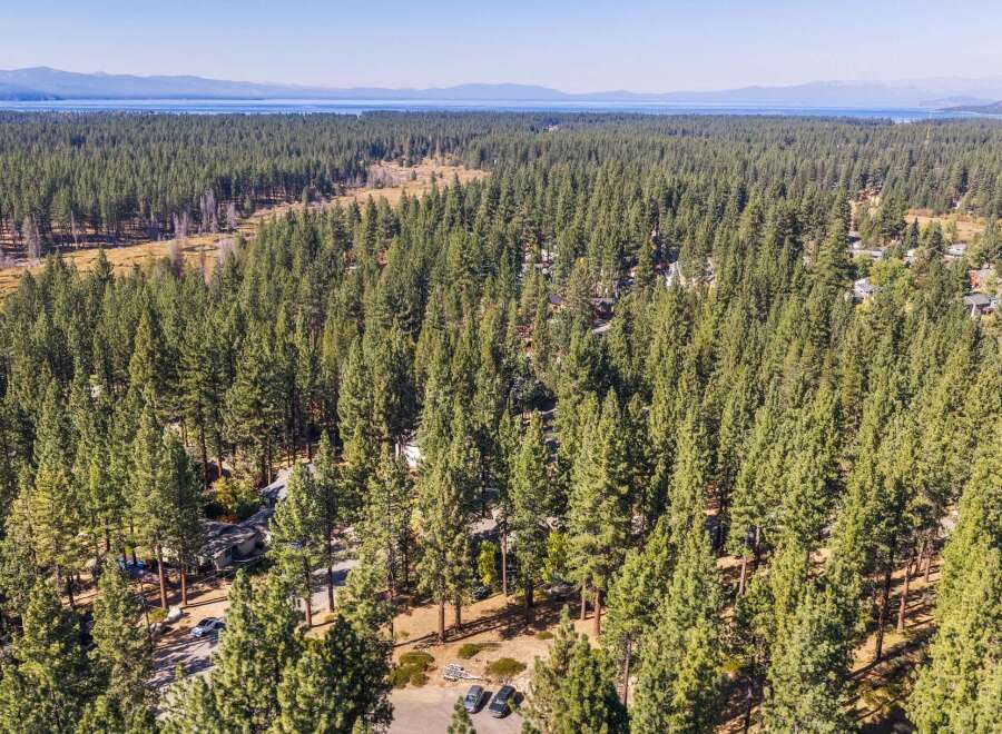 Discover this stunning aerial view showcasing a beautiful property nestled within a dense pine forest.