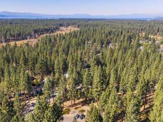 Discover this stunning aerial view showcasing a beautiful property nestled within a dense pine forest.