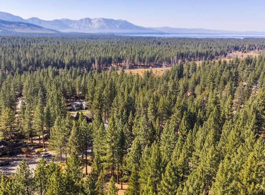 Discover your dream home nestled within a serene pine forest, offering a perfect blend of nature and modern living.
