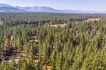 Discover your dream home nestled within a serene pine forest, offering a perfect blend of nature and modern living.