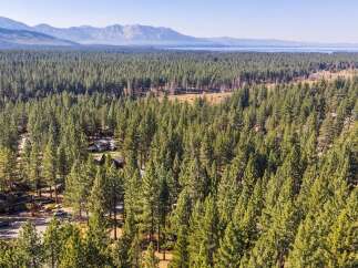 Discover your dream home nestled within a serene pine forest, offering a perfect blend of nature and modern living.