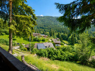 Nestled amidst lush greenery and rolling hills, this charming property offers a serene mountain retreat.